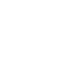 logo dandvat.com